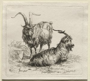 Due capre da Nicolaes Pietersz. Berchem