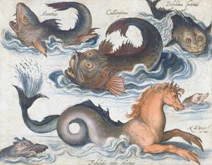 Cavalluccio marino e creature acquatiche immaginarie da Nicolaes de (after) Bruyn