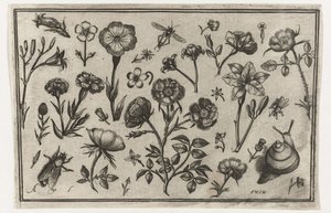 Fiori, una mosca e una lumaca da Nicolaes de Bruyn (possibly)