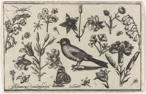 Fiori, farfalla e un uccello da Nicolaes de Bruyn (possibly)