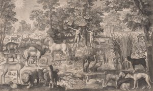 Adamo ed Eva in Paradiso, 1631 da Nicolaes de Bruyn