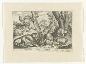 Scimmie, gatti e topi da Nicolaes de Bruyn