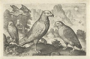 Aquila e altri rapaci da Nicolaes de Bruyn