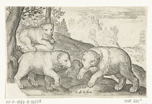 Tre orsi (serie: Animali quadrupedi) da Nicolaes de Bruyn