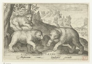 Tre orsi (Animalivm qvadrvpedvm, animali in paesaggi) da Nicolaes de Bruyn