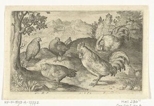Tre galline e due galli