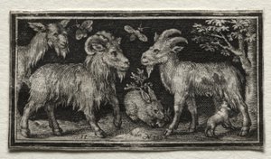 Capre e lepre, 1594 da Nicolaes de Bruyn