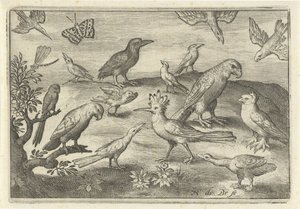 Upupa e altri uccelli (serie: Uccelli e insetti) da Nicolaes de Bruyn