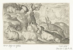 Conigli, scoiattolo, cavia e topo (serie: Animali quadrupedi) (serie: Animali nei paesaggi)
