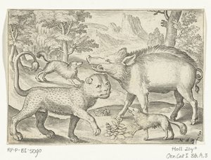 Leopardo, cinghiale e cani