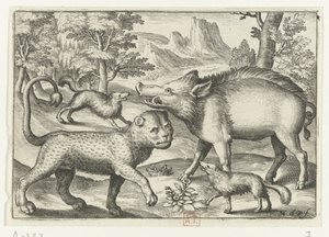 Leopardo, cinghiale e due cani