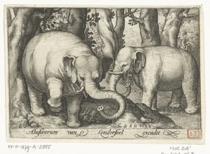 Due elefanti, Animalivm qvadrvpedvm (titolo della serie), Animali in paesaggi (titolo della serie) da Nicolaes de Bruyn