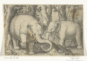 Due elefanti da Nicolaes de Bruyn