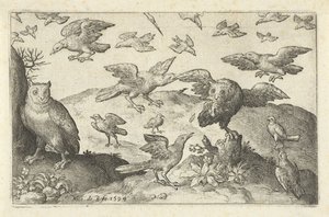 Gufo con preda assalito da altri uccelli (Uccelli e insetti) da Nicolaes de Bruyn