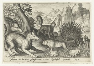 Cinghiale, volpi, castoro, istrice e rane