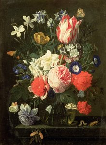 Immagine sconosciuta