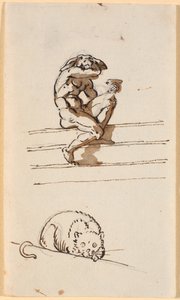 Studio di Lucio con testa d