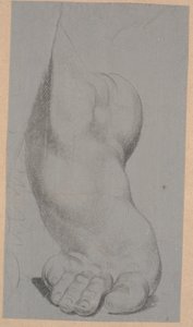 Studio di un piede da Nicolai Abildgaard