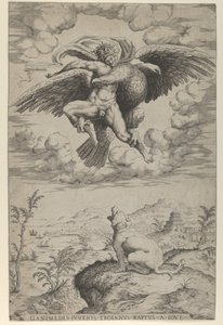 Il ratto di Ganimede da parte di Giove sotto forma di aquila che lo porta nei cieli