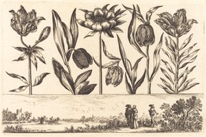 Stampa di fiori n.11