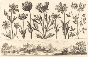 Stampa di fiori n.1 da Nicolas Cochin after Balthasar Moncornet