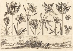 Stampa floreale n.2