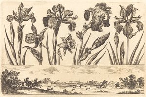 Stampa di fiori n.3
