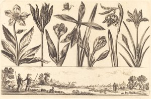 Stampa di fiori n.4 da Nicolas Cochin after Balthasar Moncornet