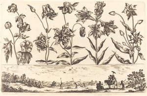 Stampa di fiori n.6