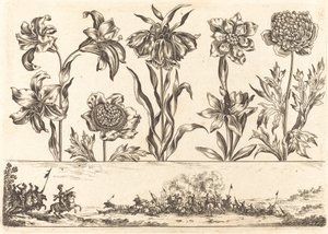 Stampa di fiori n.8