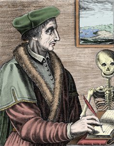 Jean Fernel (1497-1558), astronomo, matematico e medico francese