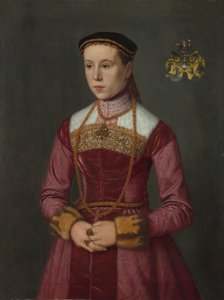 Ritratto di una giovane signora da Nicolas Neufchatel