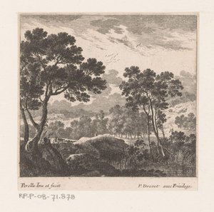 Paesaggio con alberi e lago da Nicolas Perelle