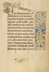 Pagina di testo decorata