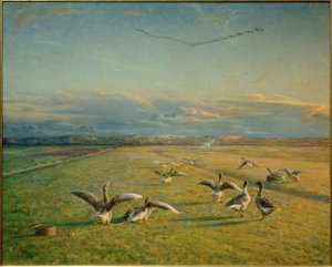 Migrazione autunnale. Oche selvatiche e domestiche da Niels Pedersen Mols