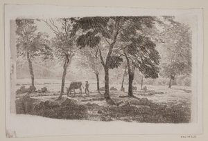 Viale da Niels Skovgaard