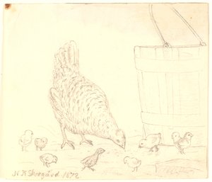 Una gallina con pulcini da Niels Skovgaard