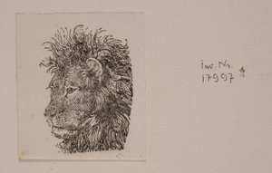 Testa di leone da Niels Skovgaard