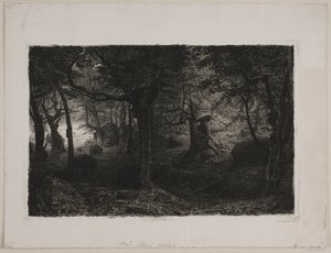 La foresta incantata