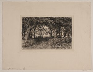 Carro sulla strada forestale da Niels Skovgaard