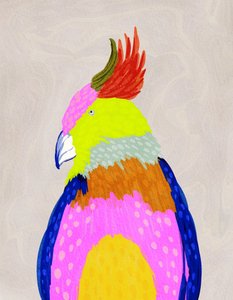 Pappagallo tropicale dai colori vivaci da Nikita Jariwala
