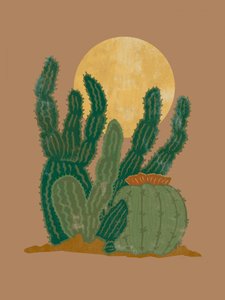 Luna dei cactus del deserto da Nikita Jariwala