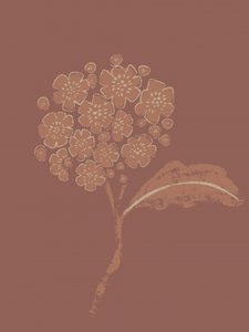 Fioritura botanica dai toni terrosi da Nikita Jariwala