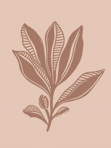 Disegno botanico naturale da Nikita Jariwala
