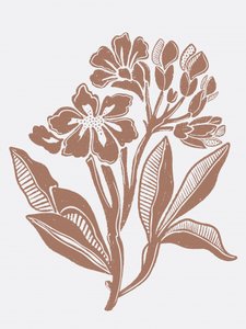 Illustrazione floreale in stile rustico da Nikita Jariwala