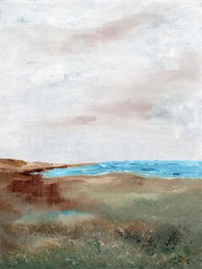 Paesaggio sereno sulla spiaggia da Nikita Jariwala