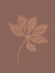 Foglia botanica in rilievo da Nikita Jariwala
