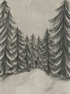 Schizzo di una foresta invernale da Nikita Jariwala