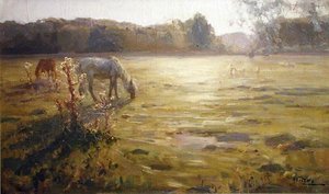 Cavallo in un Prato