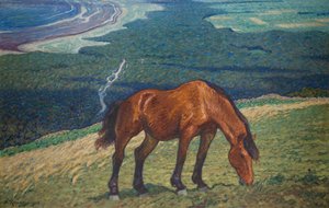 Cavallo al Pascolo